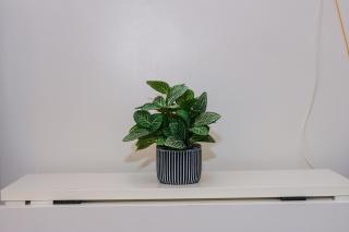 Air Dream Den Good Vibes Makati Gym Swim Park Superfast Internet 3870 - 8