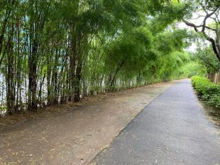 1BR Modern Bellagio Oasis Burgos Circle View BGC - Manila - 1