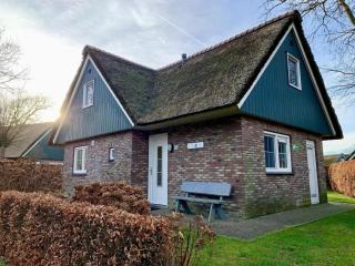 Holiday retreat, near forest - Sint Maartenszee - 8