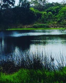 Cloudlake Mountain Retreat - Ravensbourne - 0