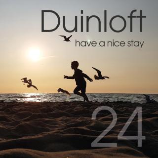 Duinloft 150 m from the beach - Noordwijk - 5
