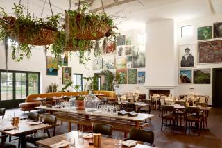 Spier Hotel and Wine Farm - 8