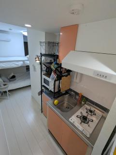 Cozy stay with direct access to Narita & Haneda - 2