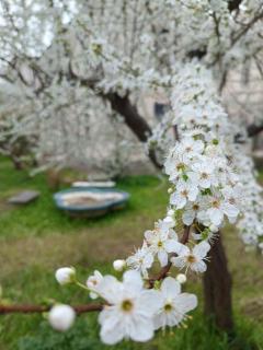 Narniandum Est Locazione Turistica - 4