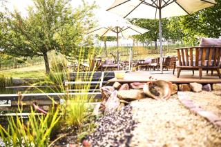 BioWeingut & Landhotel Gänz - 8