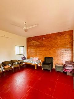 Jungle Edge - Talai - 5