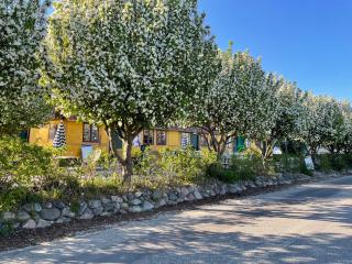 Lodsoldermandsgården - Rørvig - 2
