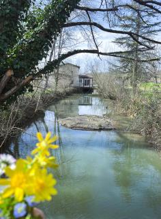Ô Vieux Moulin - Duras - 0