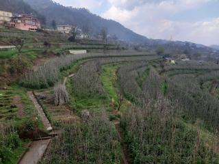 Gaon Homestay - 3