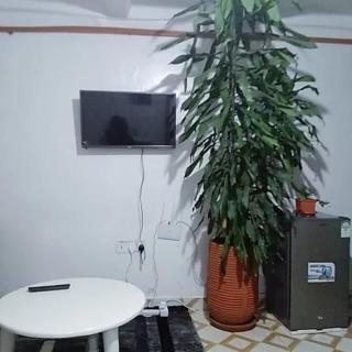 Cozy studio - - 6