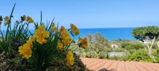 Costa Azzurra Cefalù Residence - Cefalù - 9