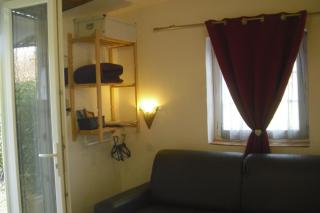 Lou mas li Pitchoun "Jasmin" - 6