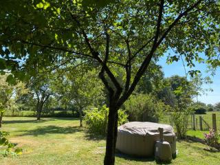 Les feuilles jaunes - Chantenay-Saint-Imbert - 7