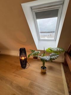 Loft - Mons - 8