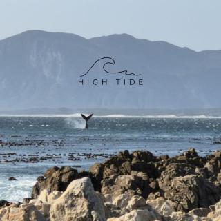 High Tide - De Kelders - 0