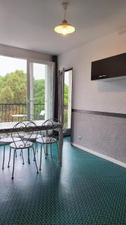 Argeles sur Mer Charmant T2 a 150m de la plage - 1