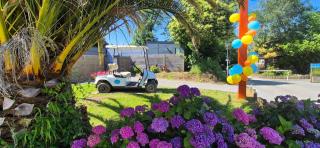 Mobil home finistère sud 2CH 4PERS - Clohars-Carnoët - 6