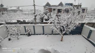The Vintage Kashmir Home - Srinagar - 5