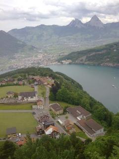 Hotel Montana - Seelisberg - 6