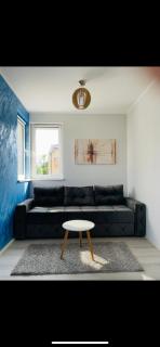 Apartmani borova 2 - Veliko Gradište - 3