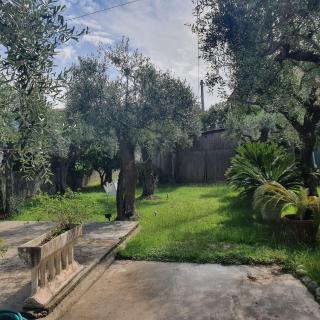 La Casa Del Giardino Degli Olivi - Forte dei Marmi - 8