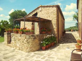 Sant'Ippolito - Asciano - 9