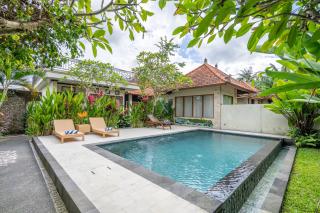 3 Beagle - Ubud - 0