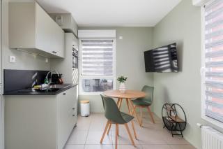 Bright newly refurbished studio - Villeurbanne - 4