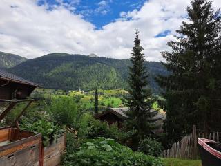 Ferienwohnung am Gibelsbach - Fiesch - 1