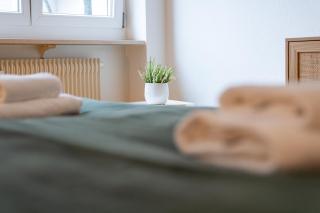 Gemütliche grosse Wohnung Nähe Uni - Basilea - 2
