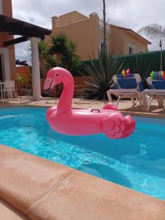 A casa di Ilaria - Corralejo - 9