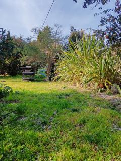 Gîte Odonate - LʼIsle-sur-la-Sorgue - 6
