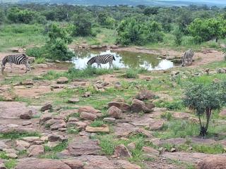 Shawu's Hide - 7