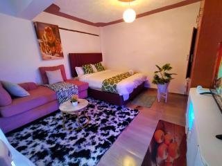 a studio in Lang'ata - Nairobi - 4