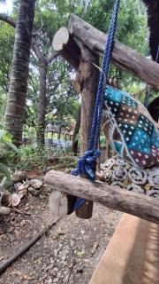 Sea way - Mtendeni - 1
