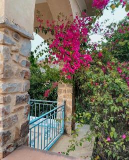 The Kipling Lodge- Nature Kalp - Khilchipur - 2