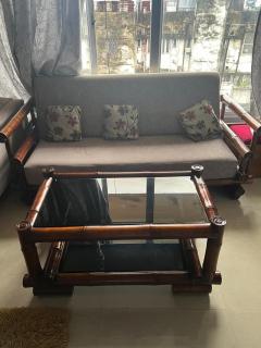 Penthouse with terrace garden - Guwahati - 4