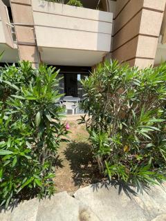 Appartement Cannes, Piscine - Terrasse, Jardin Privatif - 4 Personnes - Cannes - 3