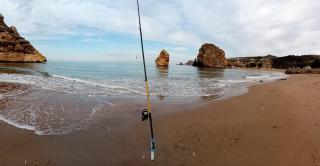 Charment logement - 1