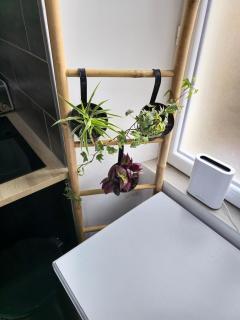 Un pied-à-terre - Millau - 4