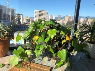 Art apartment Batumi - Batumi - 6