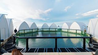 Floating Home in Reef Resort Unit 6 - Kaputian - 0