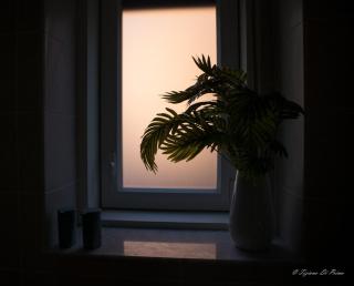 Eleven Holidays Home - Catania - 2