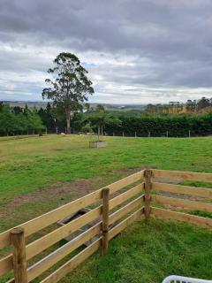 Bruce Farm Alpaca Cabin 4 by Tiny Away - Balclutha - 3
