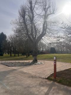 Golf Hotel de la Carte - Chouzy-sur-Cisse - 1