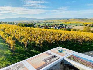 Chez Claire et Cyril - Soultz-les-Bains - 7