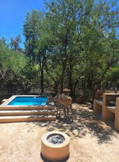Dumela Afrika - Marloth Park - 1