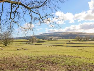 Pencroft Cottage - Leyburn - 8