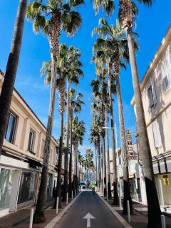 Studio Cosy avec Clim à 10 min de la Mer - Antibes - 6