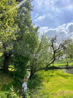 Lehm-Fachwerkhaus im Vorharz in der Landschaft - 9